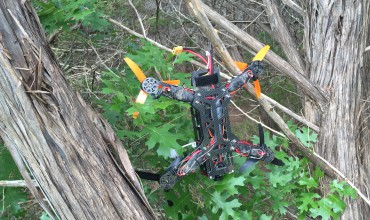 Drone in a tree