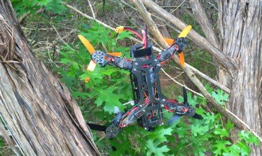 Drone In A Tree