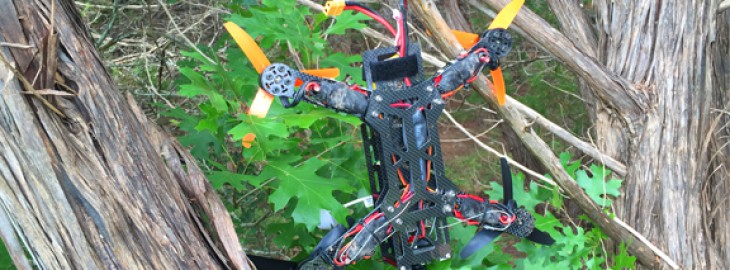 Drone In A Tree