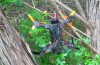 Drone In A Tree