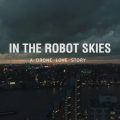 In The Robot Skies