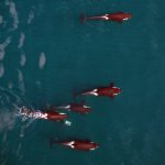 Drones Help Researchers Study The Sea